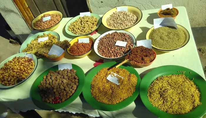 Digital Diversity Wheel app built for farmers in Zimbabwe and Uganda